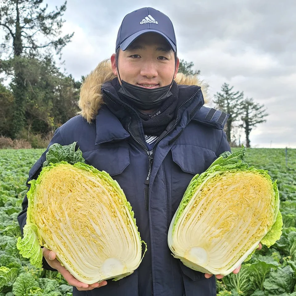 소복김치 당일제조 김장 배추김치 3kg, 1개